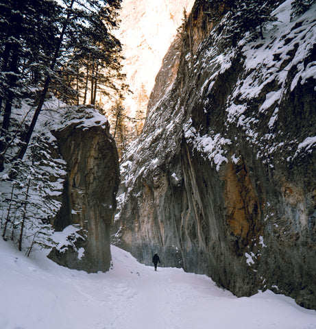 Canyon and trees in Grotto Canyon covered in snow. Man in red winter jacket standing at the base of the canyon walls looking up