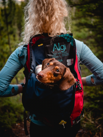 Girl and her dog hiking trails in Canmore and Banff, Alberta, Canada. She is wearing multiple layers and has Algi spirulina powder and IMPACT Bars in her bag.
