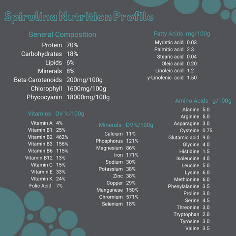 Nutrition facts table of a high energy vegan protein powder, spirulina algae.