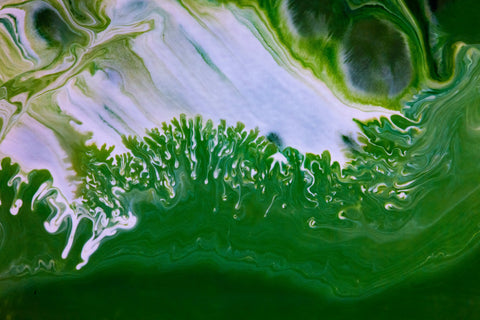 There are over 25,000 known species of micro-algae. 