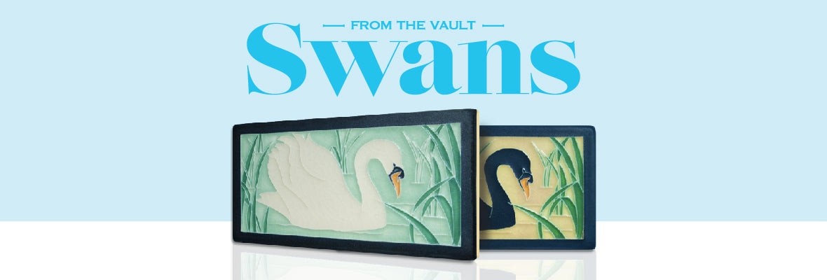 From the Vault: 4x8 Swans