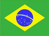 Brazilian Flag