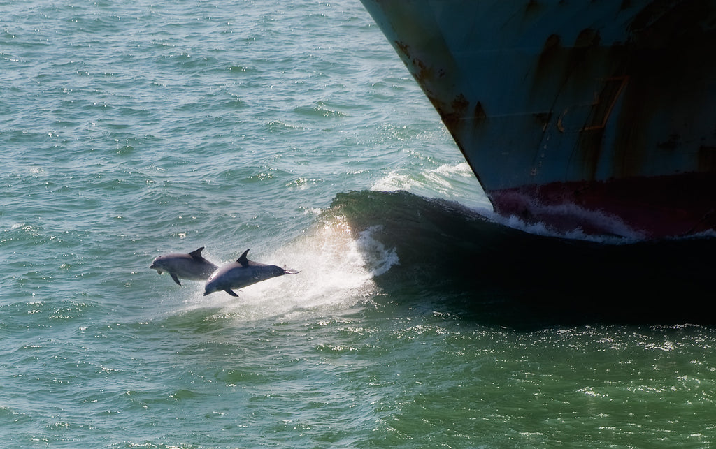 houston ship channel texas