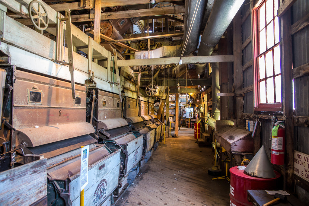 Inside The Burton Farmers Gin