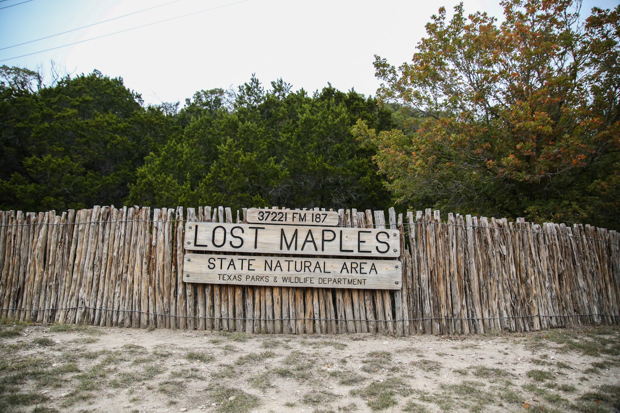 Lost Maples State Natural Area Texas Parks & Wildlife