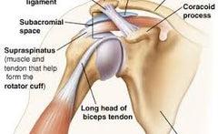 Shoulder Joint Sprain