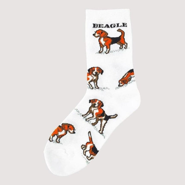 Animal Socks Beagle - Mad Socks Australia