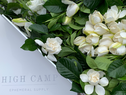 gardenias in a white box with High Camp Supply logo pictured