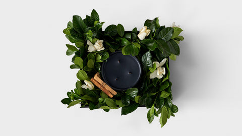 Black wax candle surrounded by gardenias and palo santo