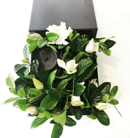 Box of gardenias with black candle