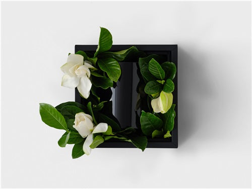 The Muse Vine & Bloom Vase Box - High Camp Supply product image