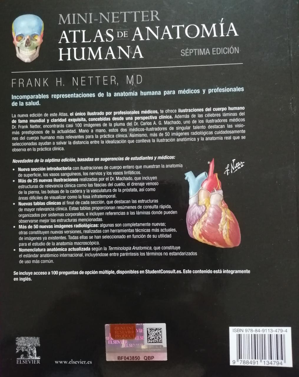 Featured image of post Atlas De Anatomia Netter 7Ma Edicion Lla cuarta edici n del atlas de anatom a humana de