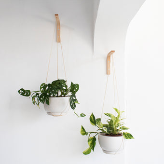Wall Plant Hanger Set