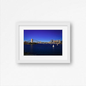 Sydney Harbour Photo Print at Balls Head Reserve in Waverton as Framed Wall Art