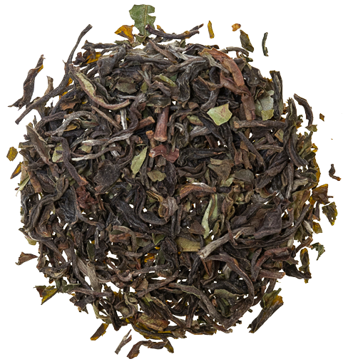 https://cdn.shopify.com/s/files/1/0302/1241/products/Darjeeling-removebg-preview_1000x1000.png?v=1678126559