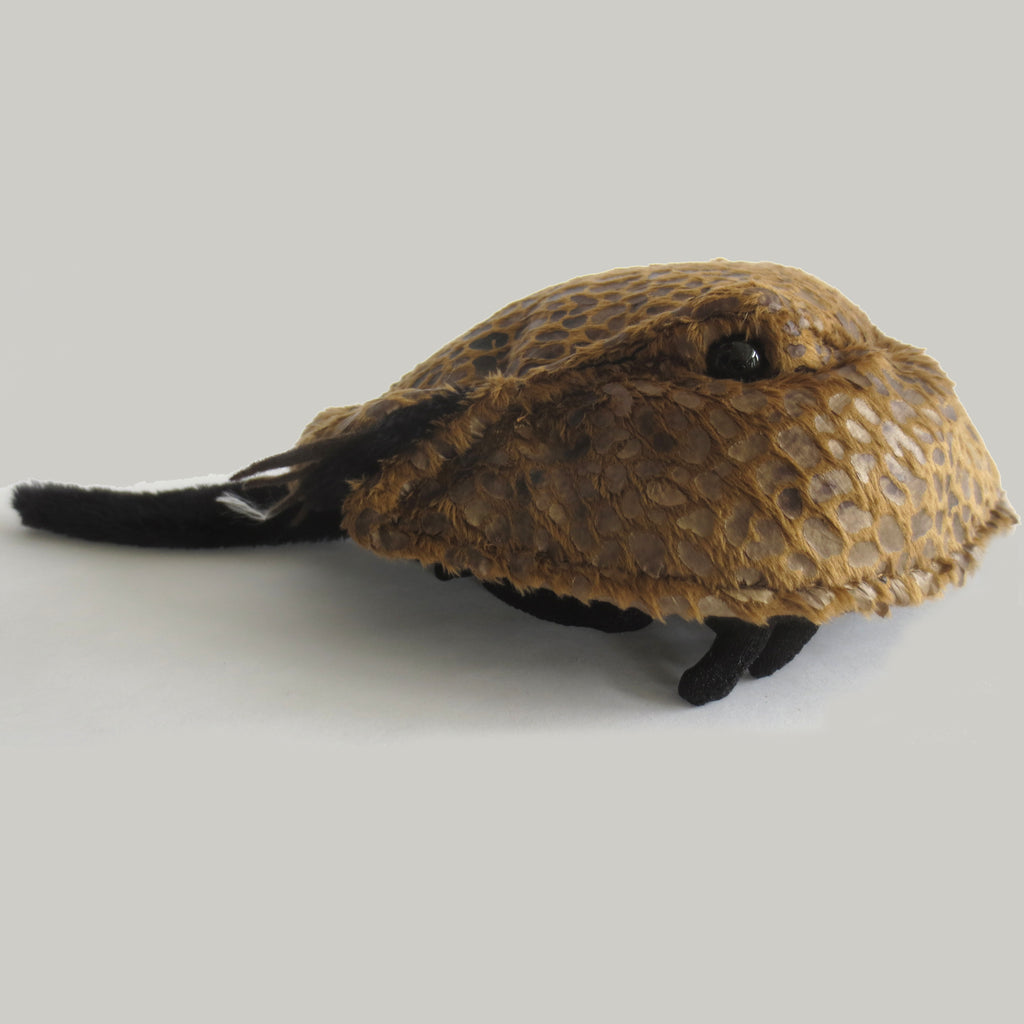 horseshoe crab stuffed animal