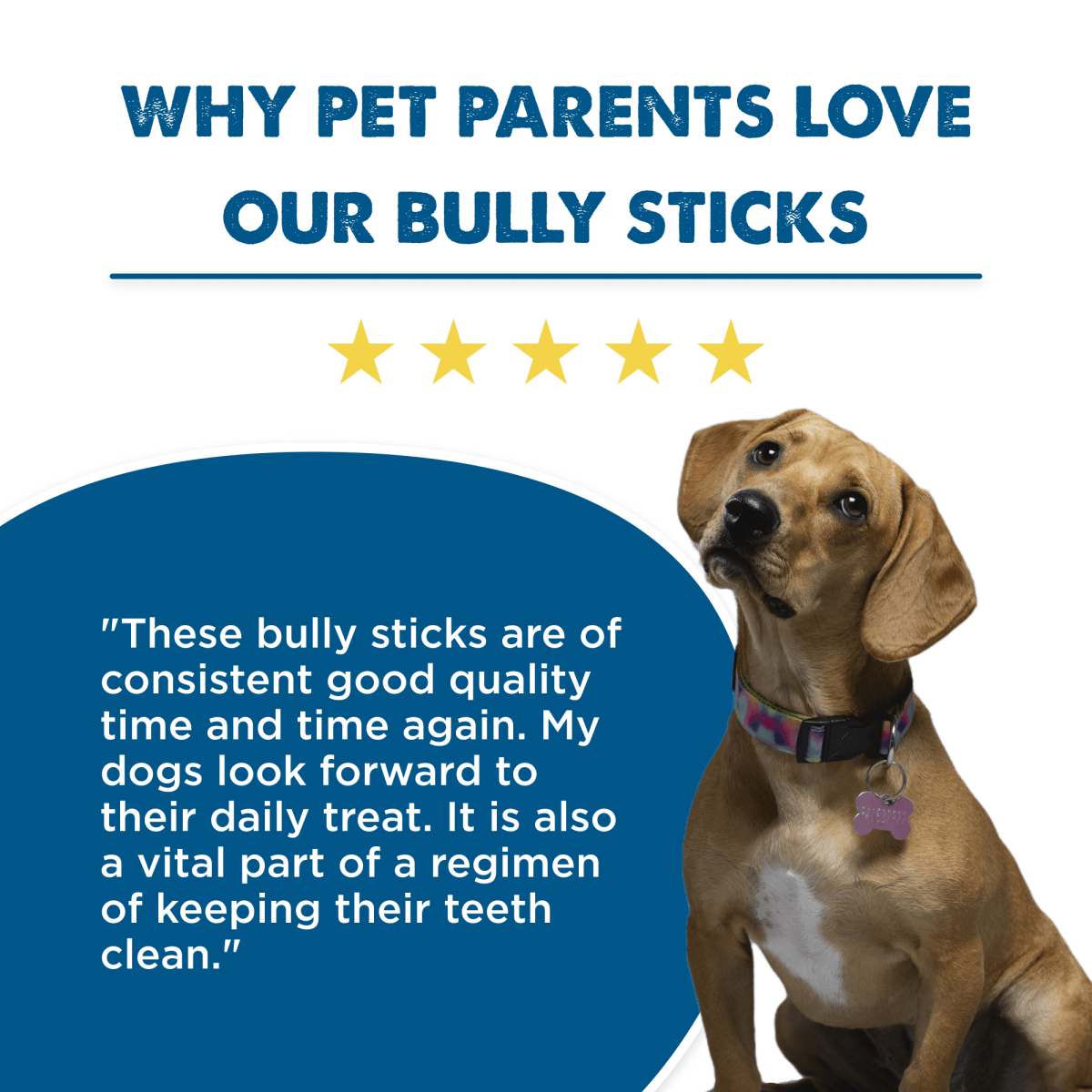 6-Inch Standard USA-Baked Odor-Free Bully Stick