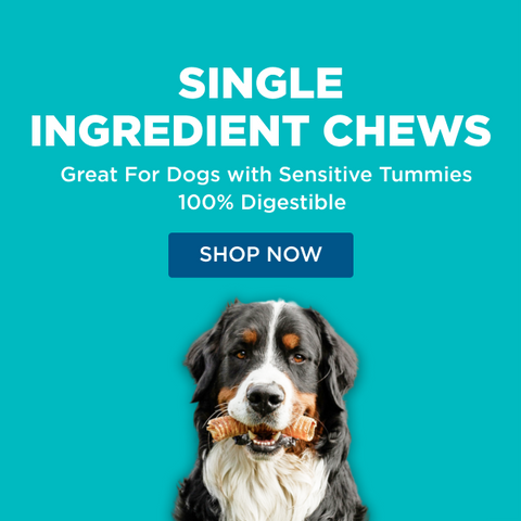 can dental bones make dogs sick