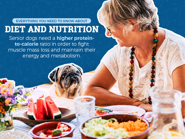 Diet and Nutrition info with woman at table with food and a dog
