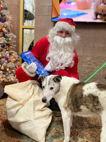 santa claus and rescue dog with treats