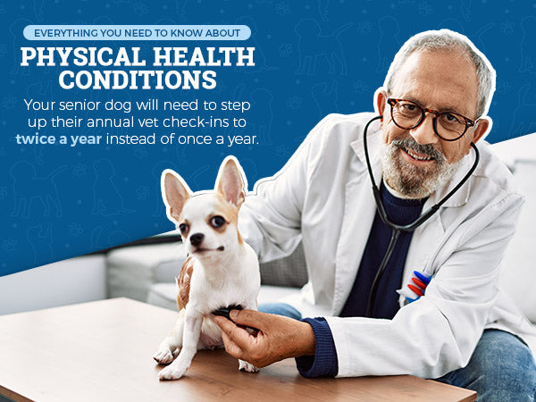 Physical Health Conditions with vet checking small dog's heart