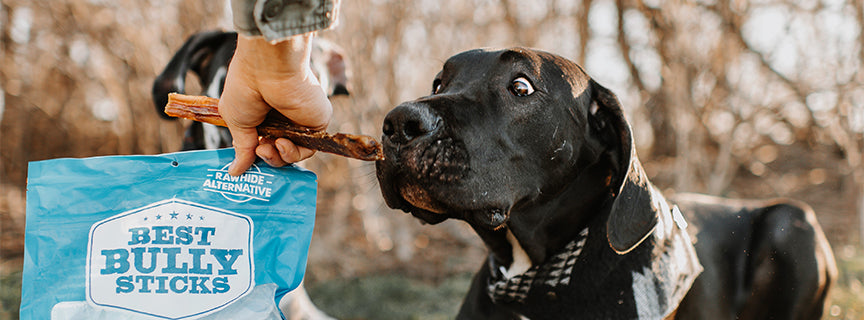 are bully sticks safe for puppies