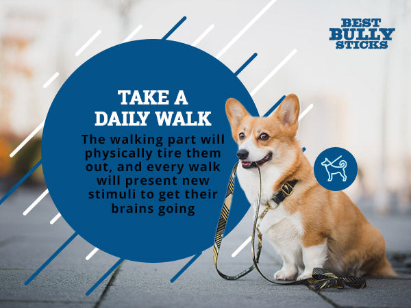 Take a daily walk