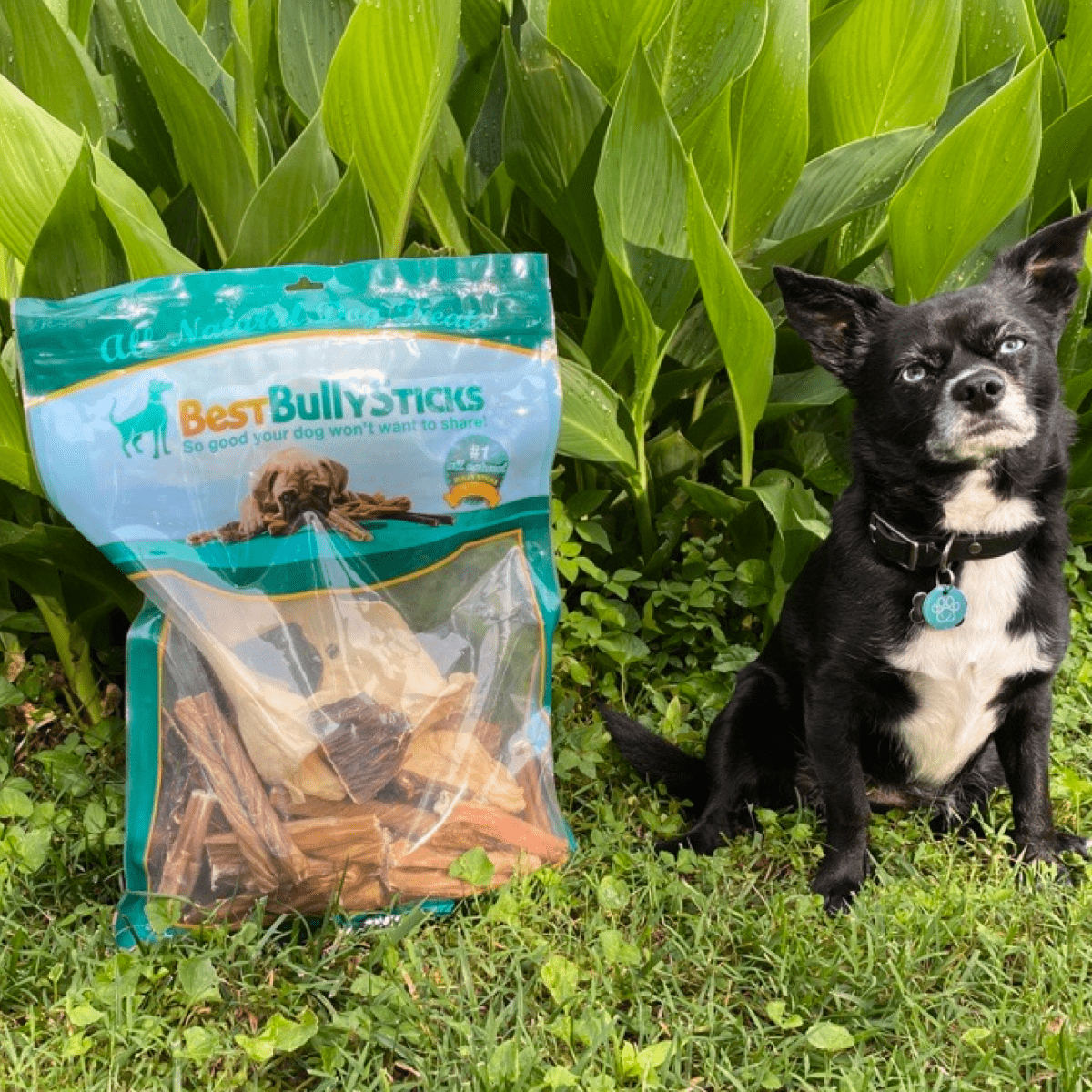 Chew Variety Grab Bag (2 lb) - Best Bully Sticks product image