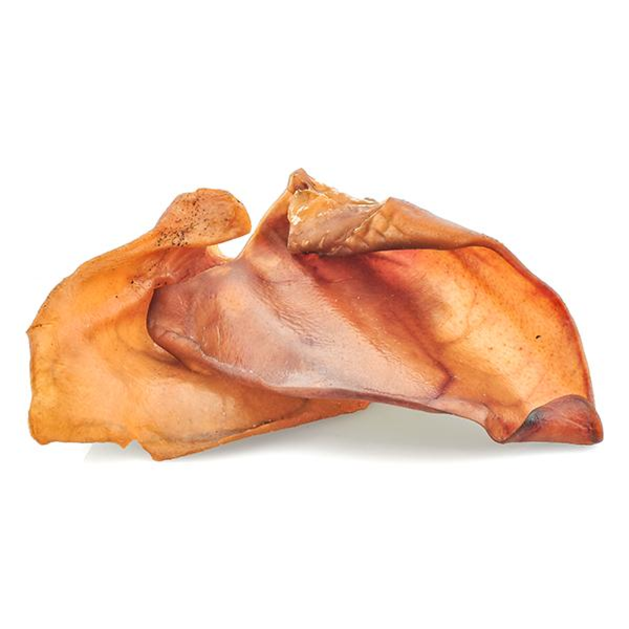 are pig ears better for a wire fox terrier than rawhide ears