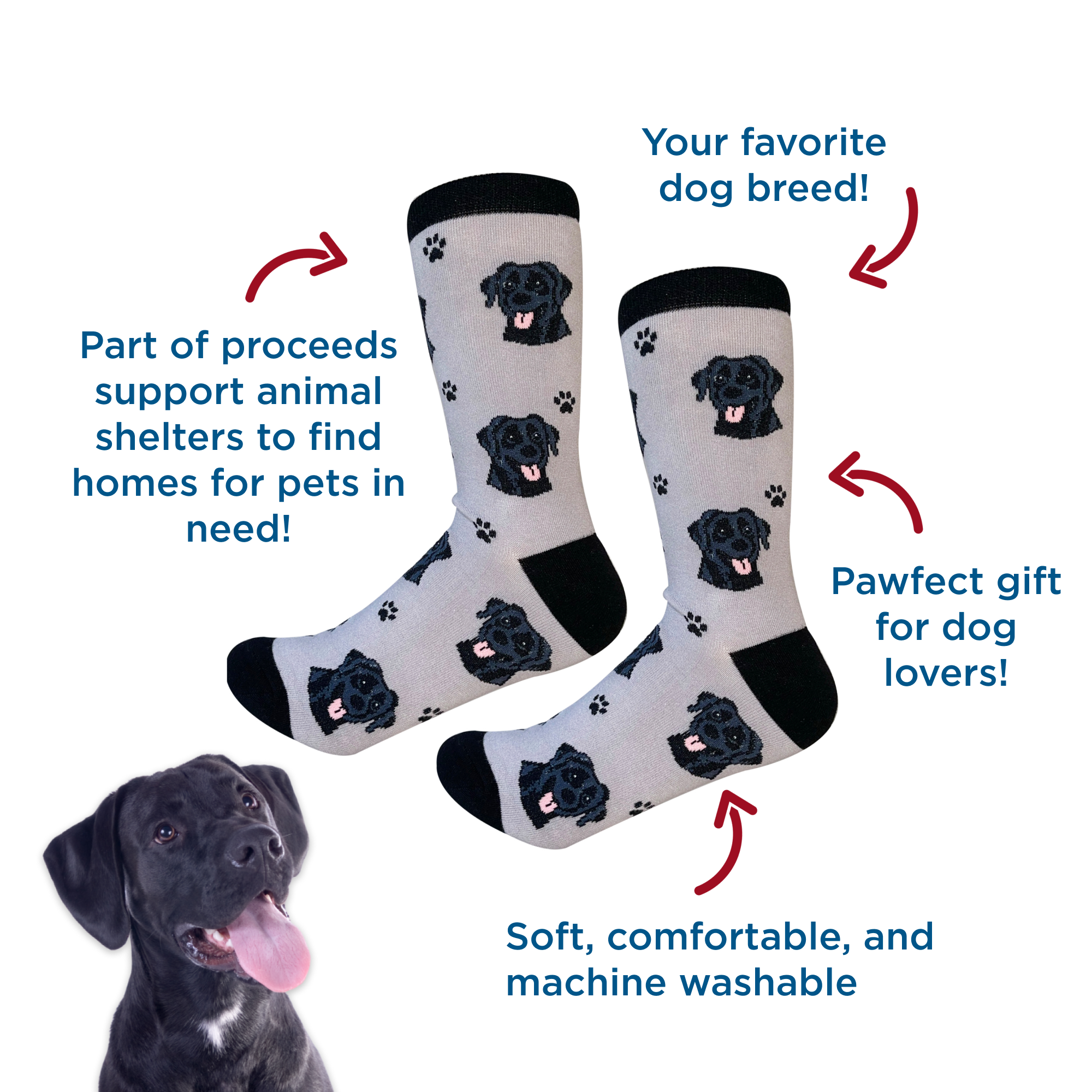 do dogs need socks