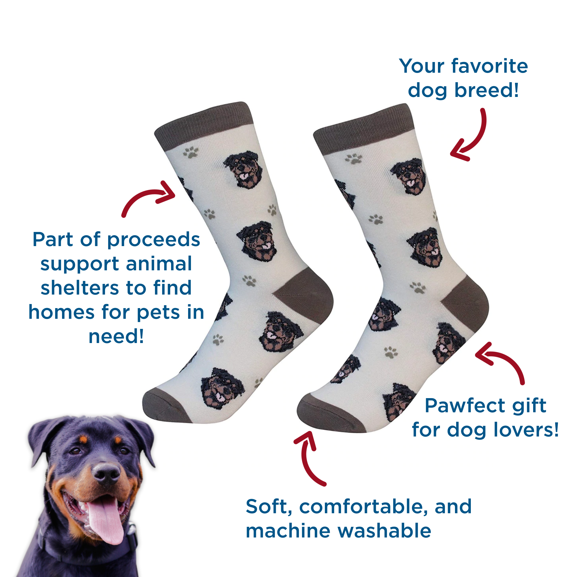 do dogs need socks