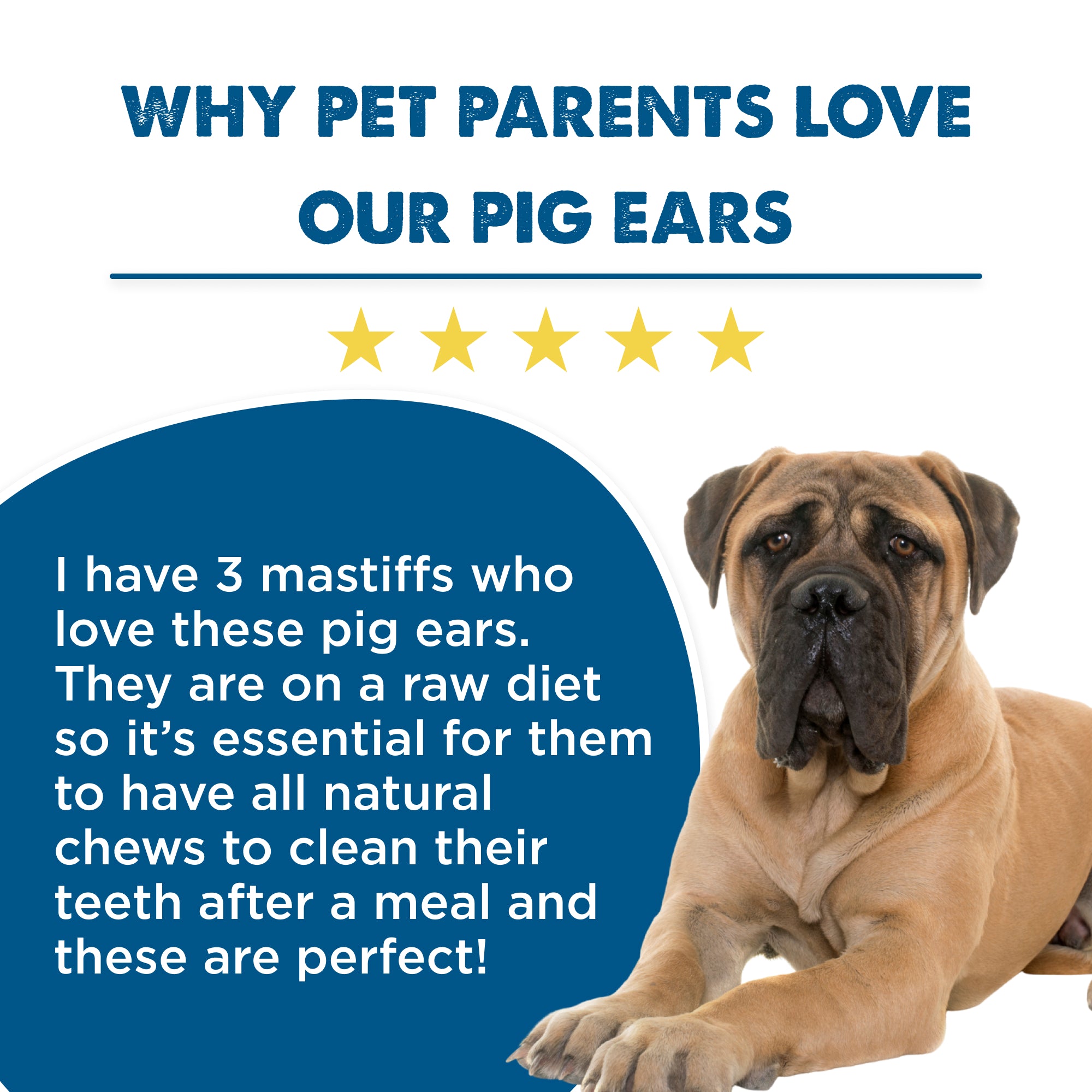 are pig ears better for a campeiro bulldog than rawhide ears