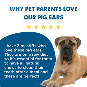 can dogs eat raw pigs ears