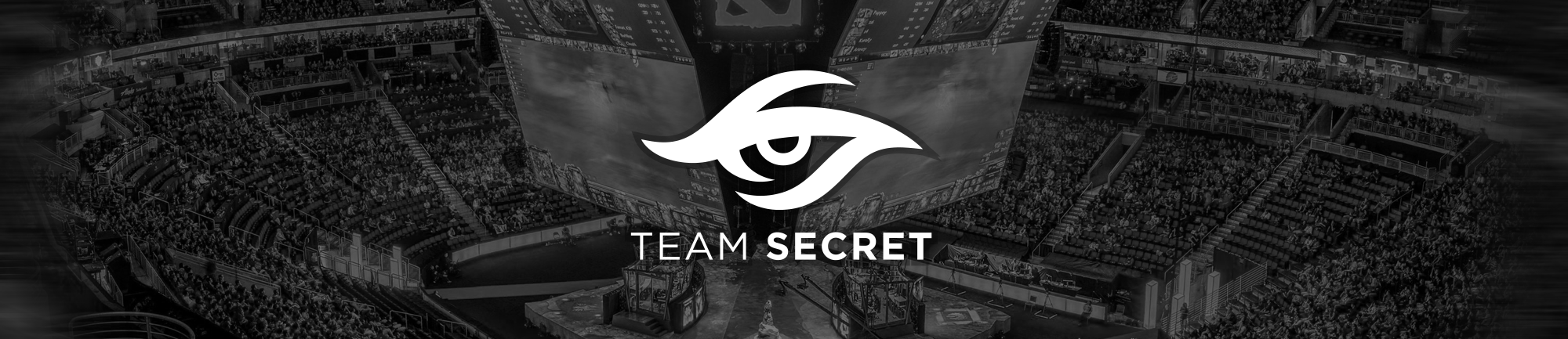 Тима секрет. Керри тим Сикрет. Обои Team Secret. Тим секрет рабочий стол. Team Secret logo.