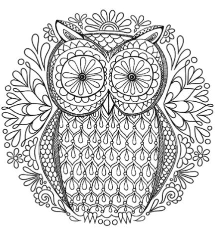 dessin de hibou mandala regard fixe