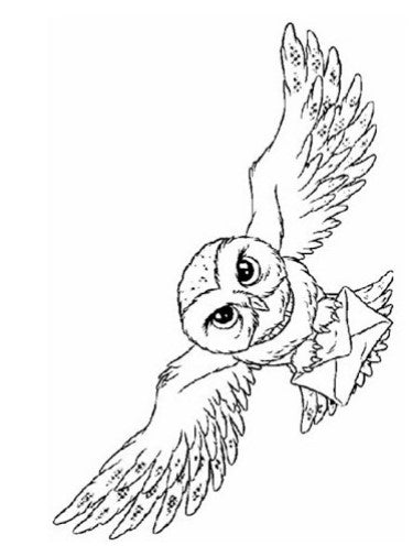 dessin de hibou ailes ouvertes lettre