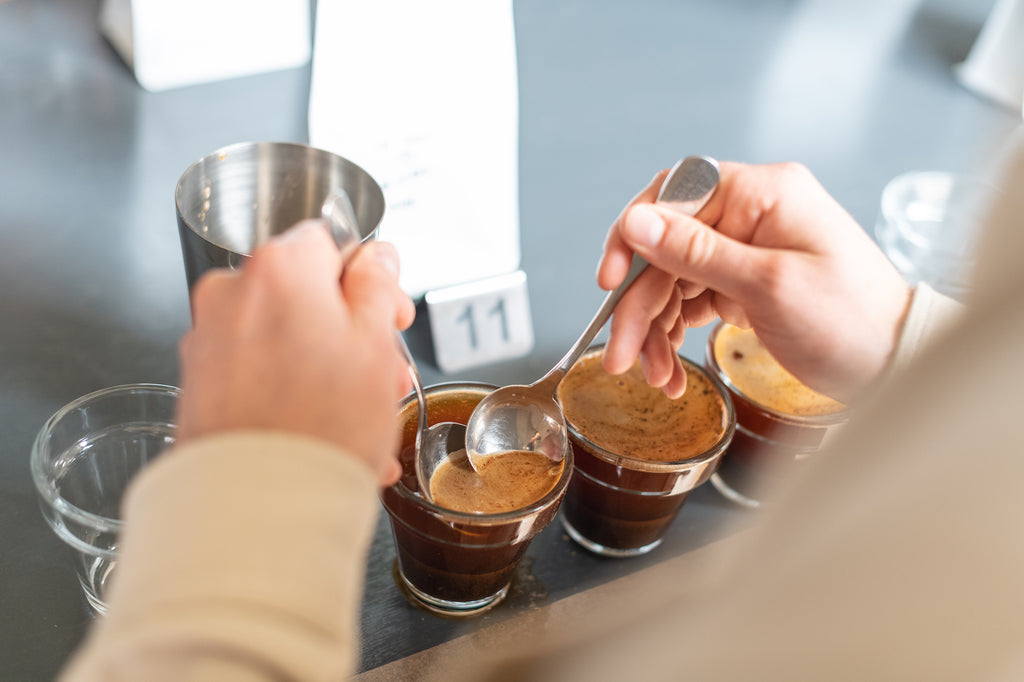 'Cupping' coffee is a standardised industry-wide protocol to sensorily assess a sample of coffee. It can be focussed on analysing the quality of green coffee during a 'sample cupping' or as a means of assessing the roast quality of various batches during a 'production cupping'. 