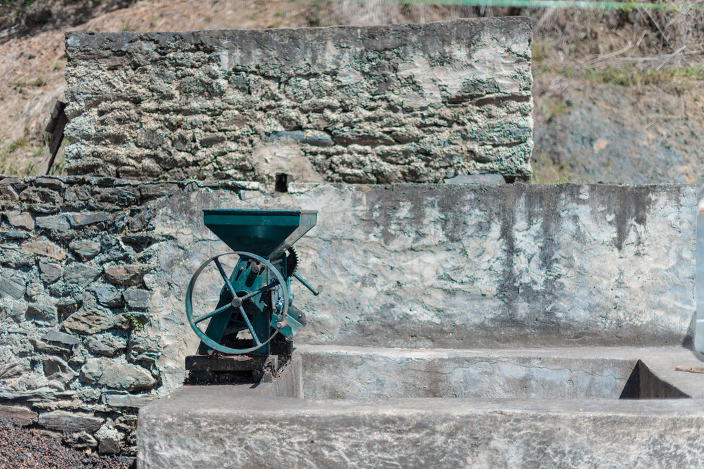 Ricardo’s manual depulper at Finca Pampa Blanca