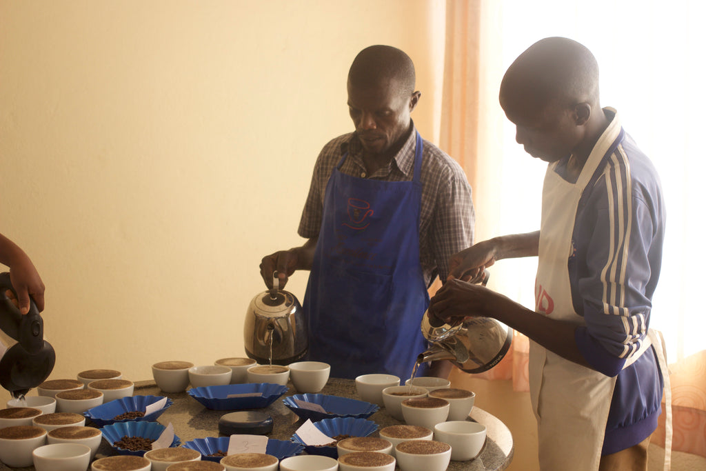 Inside the eerily lit cupping lab at SIVCA, Ngozi, Burundi.