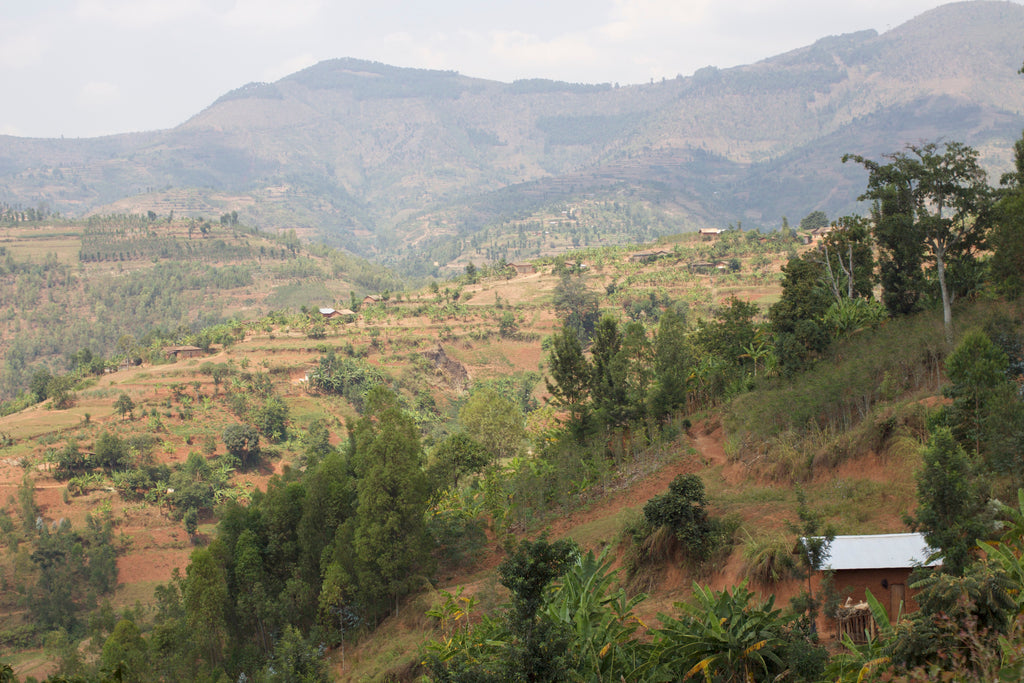 On the road to Remera washing station, Nyamagabe, Rwanda.