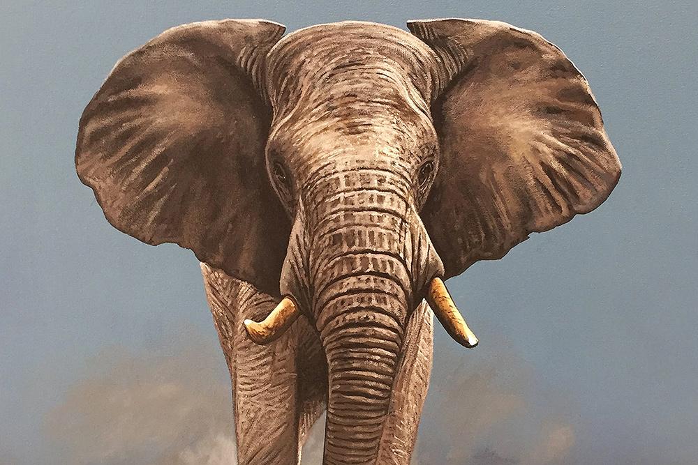 Elephant Art - Fine Art Portfolio