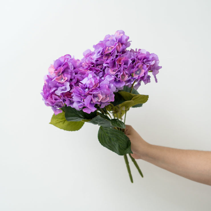 Hortensias Morada – Ambienti