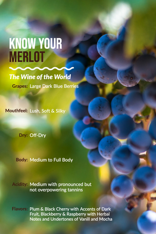 Know Your Merlot Infographic