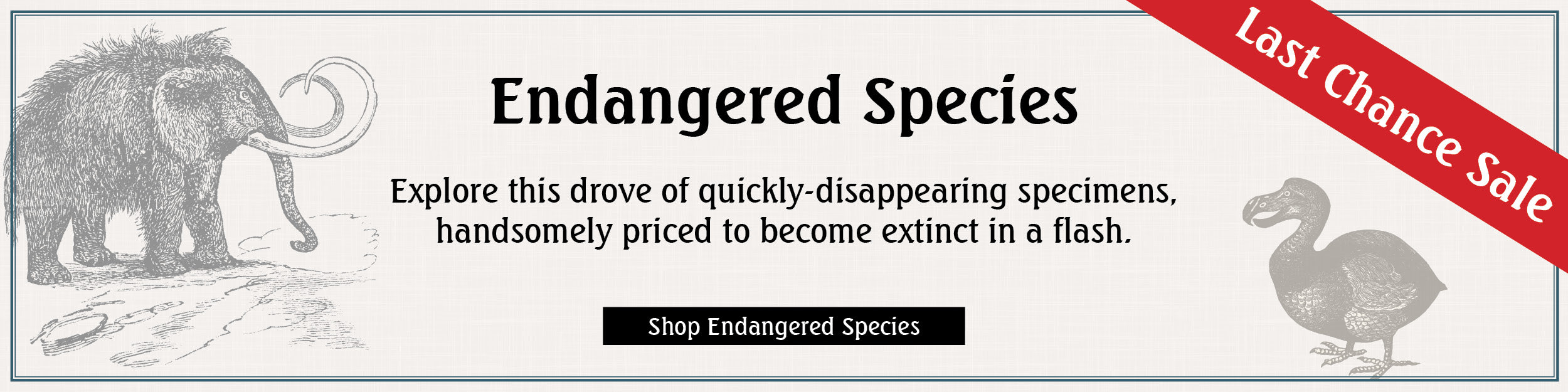 Endangered Species.jpg__PID:1c3f7906-1417-4b6c-a046-d631d8ec20f7