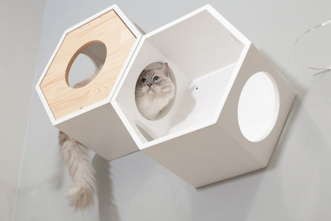 単品販売／受注生産 Cat'工房 5角形キャットハウス | webelieveunited.com