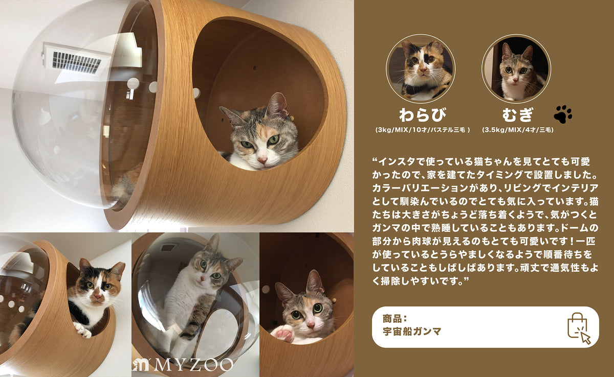 インスタで使っている猫ちゃんを見てとても可愛かったので、家を建てたタイミングで設置しました。カラーバリエーションがあり、リビングでインテリアとして馴染んでいるのでとても気に入っています。猫たちは大きさがちょうど落ち着くようで、気がつくとガンマの中で熟睡していることもあります。ドームの部分から肉球が見えるのもとても可愛いです！一匹が使っているとうらやましくなるようで順番待ちをしていることもしばしばあります。頑丈で通気性もよく掃除しやすいです。