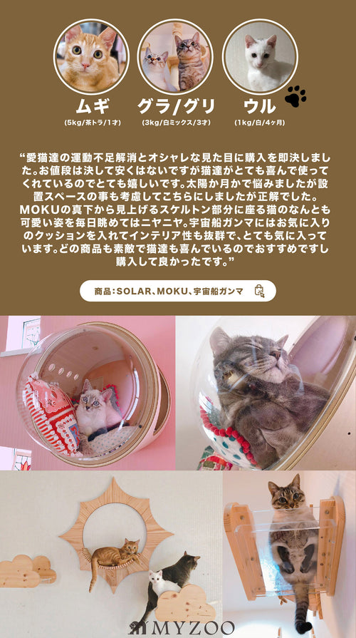 キャットハウス 天然木 無垢材 猫 壁掛け キャットウォーク キャット