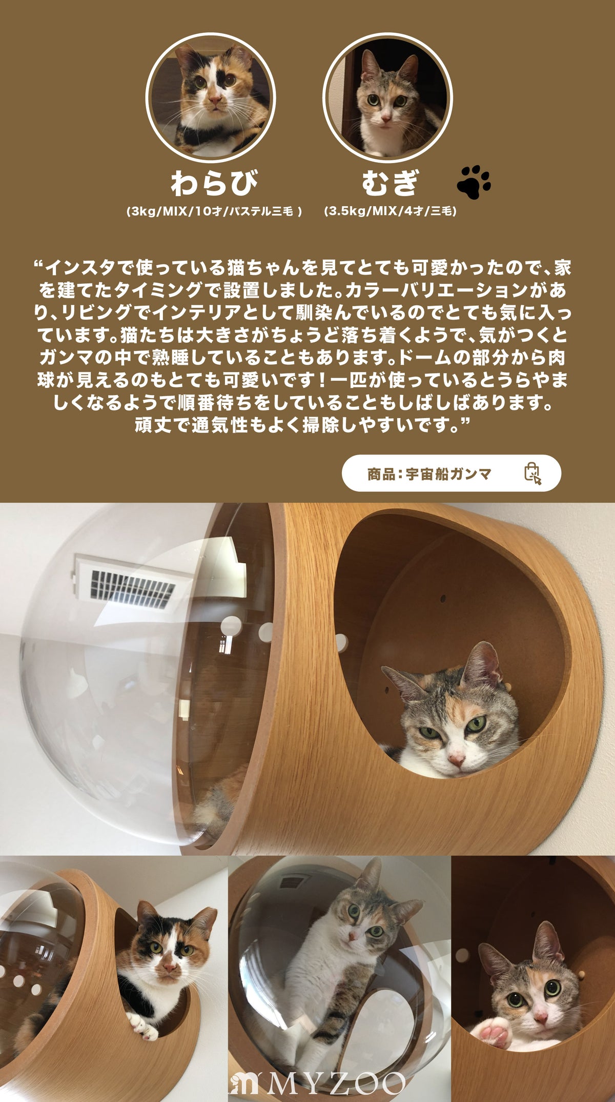 インスタで使っている猫ちゃんを見てとても可愛かったので、家を建てたタイミングで設置しました。カラーバリエーションがあり、リビングでインテリアとして馴染んでいるのでとても気に入っています。猫たちは大きさがちょうど落ち着くようで、気がつくとガンマの中で熟睡していることもあります。ドームの部分から肉球が見えるのもとても可愛いです！一匹が使っているとうらやましくなるようで順番待ちをしていることもしばしばあります。頑丈で通気性もよく掃除しやすいです。