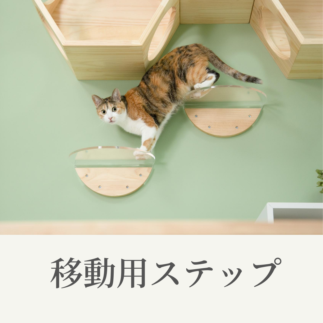 キャットウォークの必要性と設置ポイント