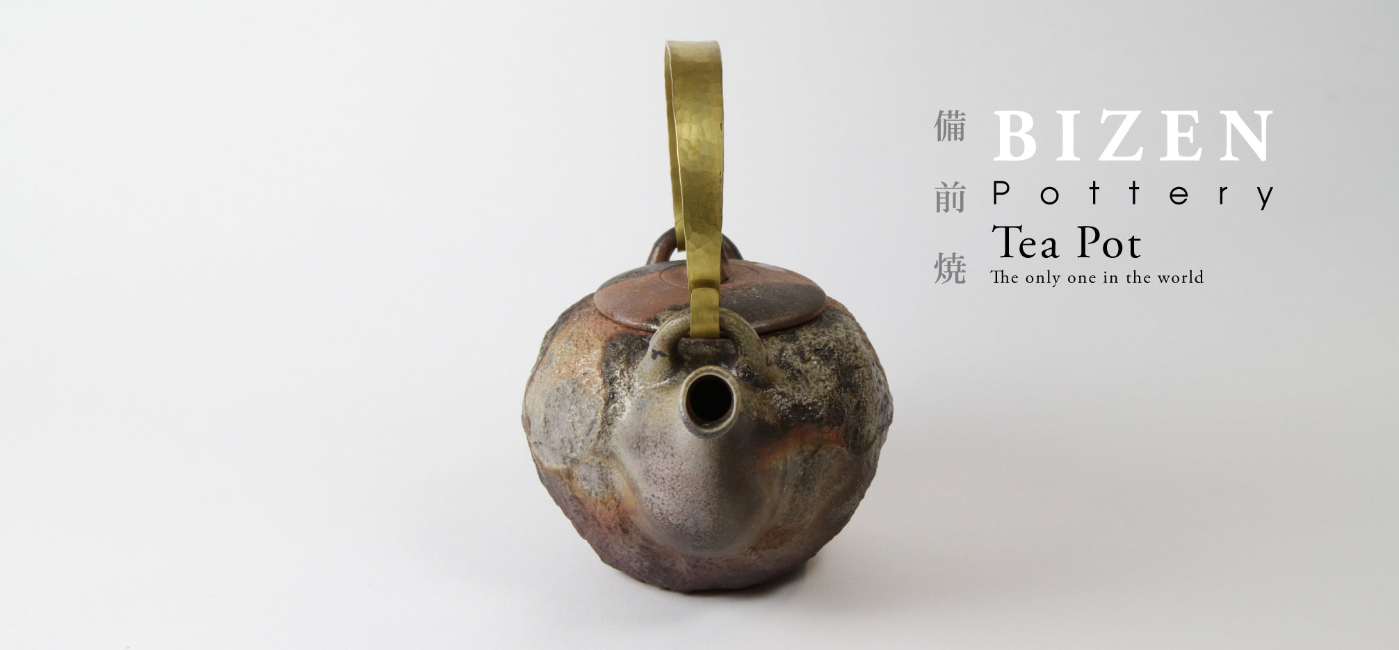 BIZEN Pottery Tea Pot The only one in the world